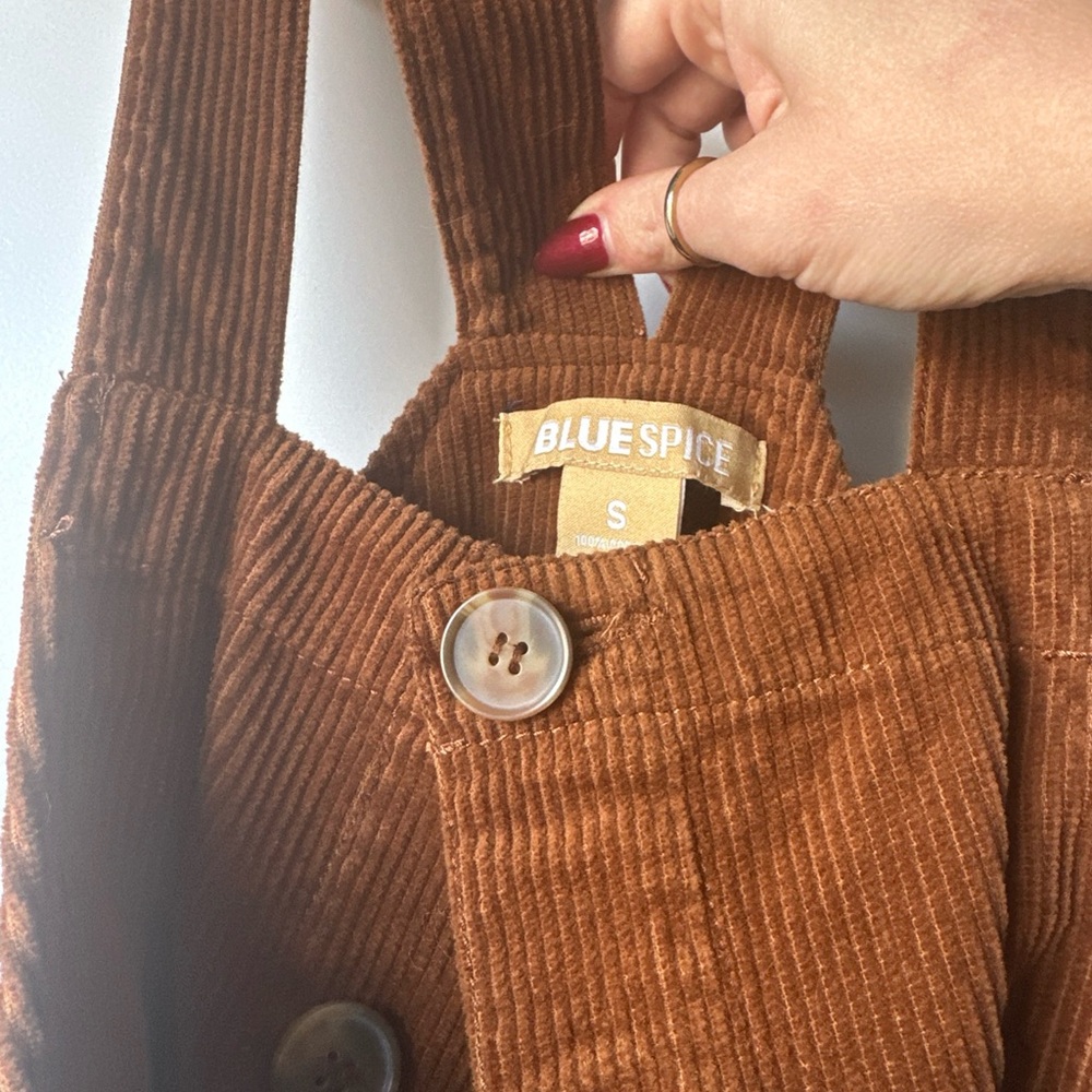 Brown Corduroy Button-Down Dress - Picture 3 of 4